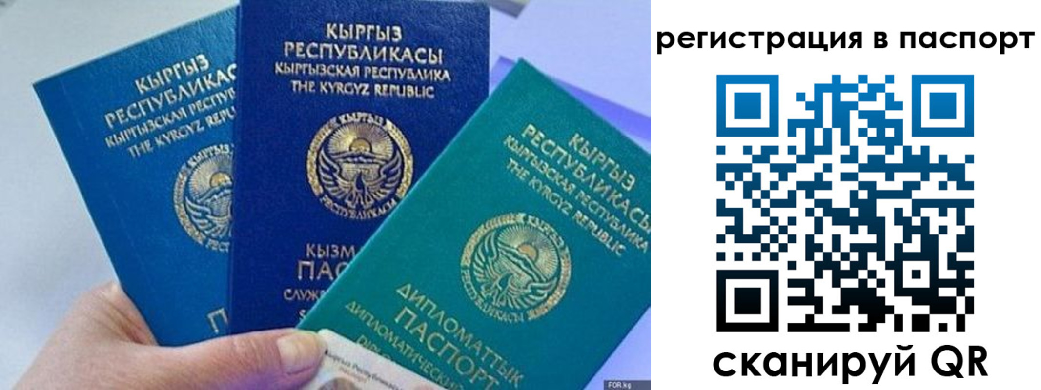 прописка 2025 в Элисте